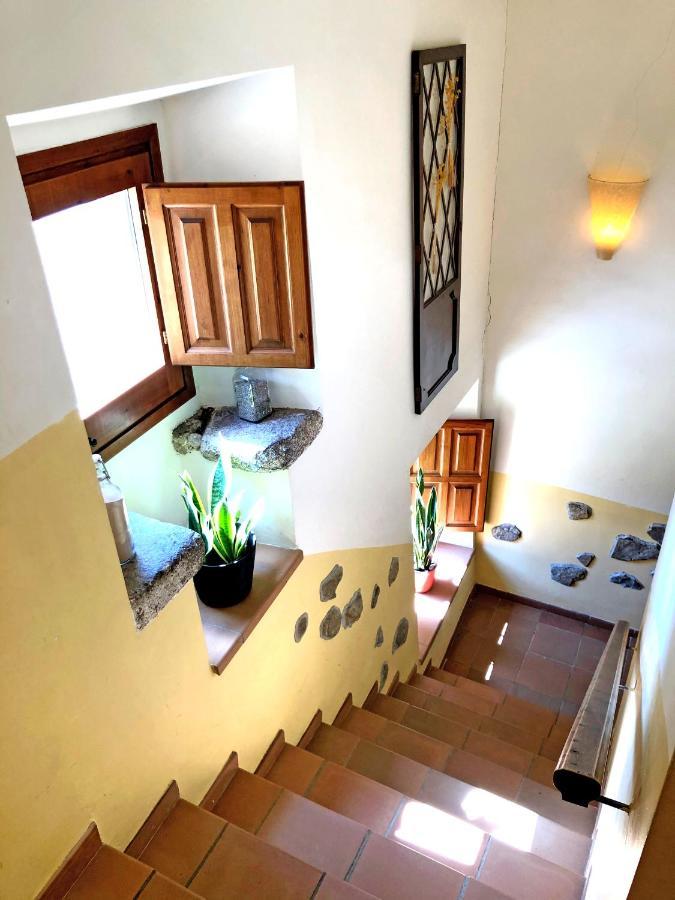 Casa Rural Can Miquel - En Pleno Bosque Y Cerca De La Playa - Increibles Rutas Btt Santa Coloma De Farners Exterior photo